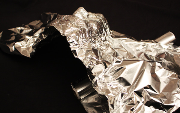 Tin Foil Bust