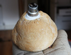 Day 5: Bread light Day 5: Bread light